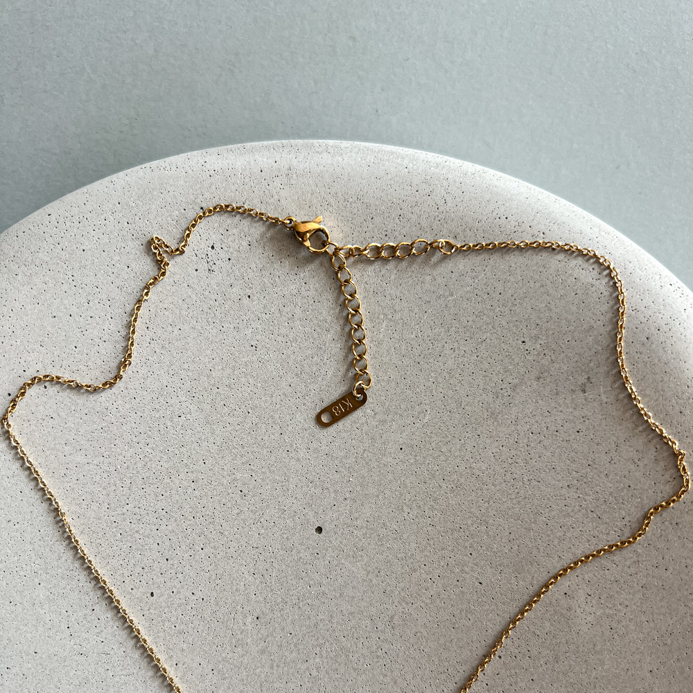 Minimalistic chain necklace with a shell pendant